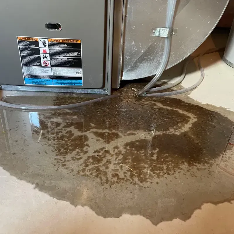 Appliance Leak Cleanup in Rockfish, NC